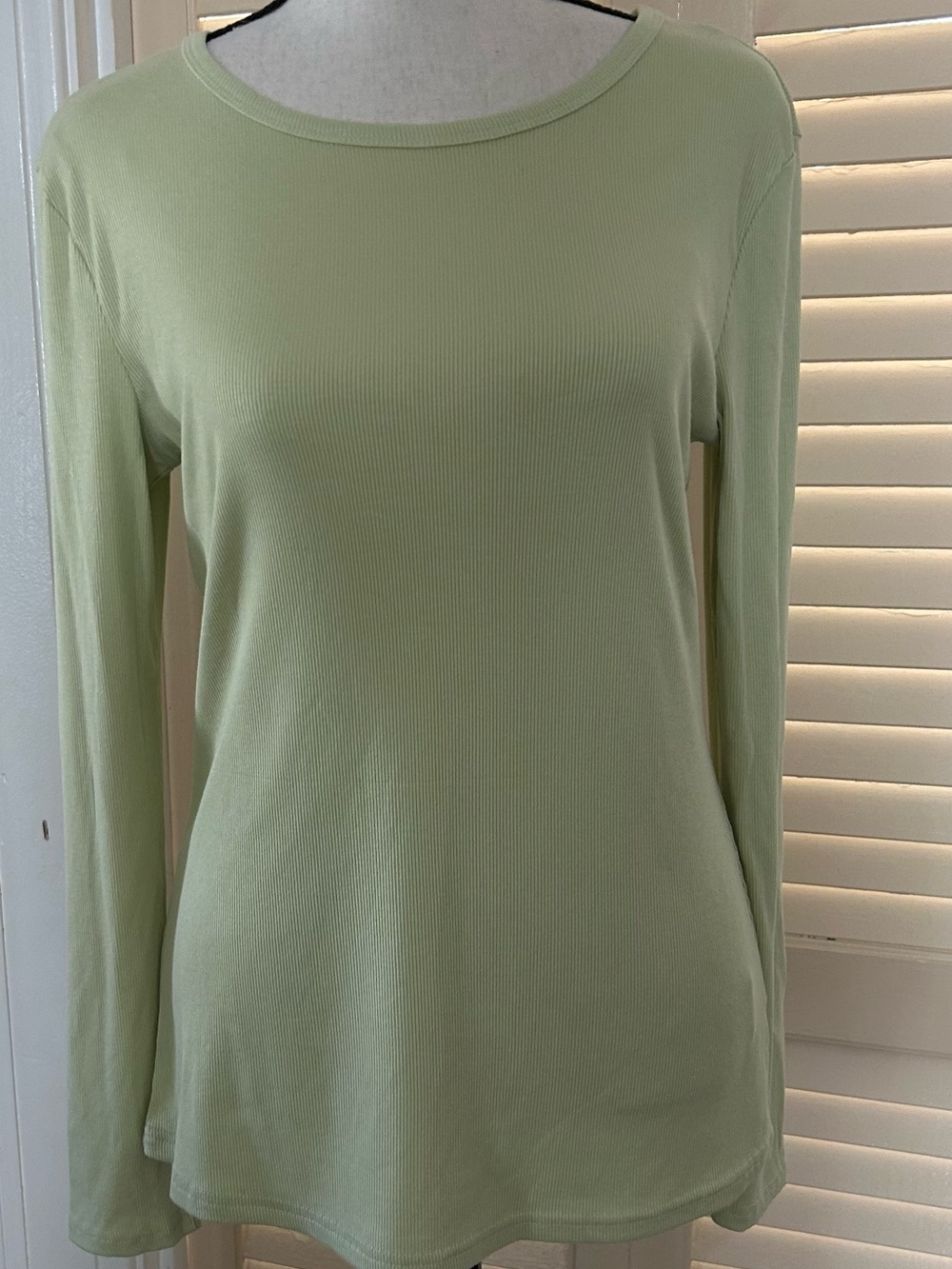 Ribbed Long Sleeve Crewneck Top in Light Green